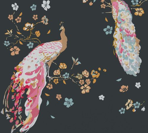 Nassim Coloré - hover