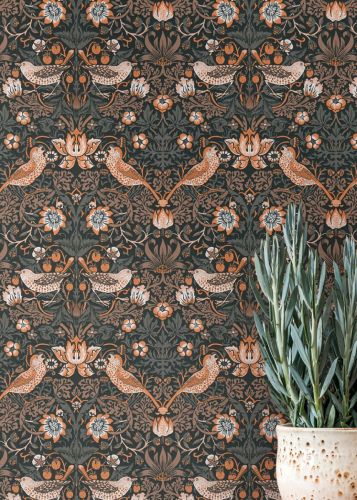 Astraïelle Orange Gris 