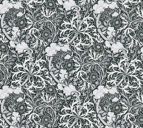 Cassiopée Noir Blanc   - hover