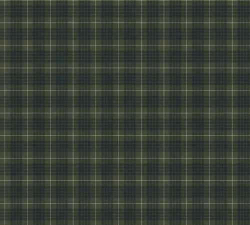 Évadine Vert Noir  - hover