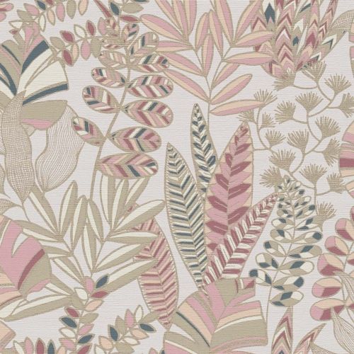 Plante Rose Crème  - hover