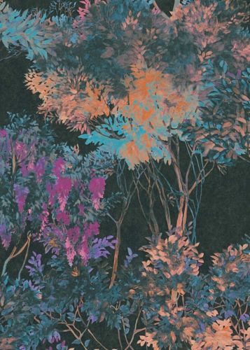 Harmonie Coloré  - hover