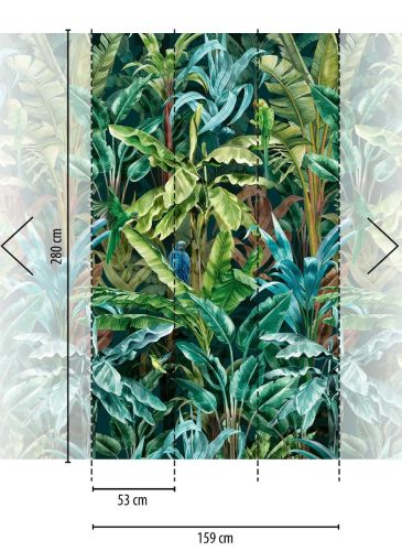 Phélicien Coloré - hover