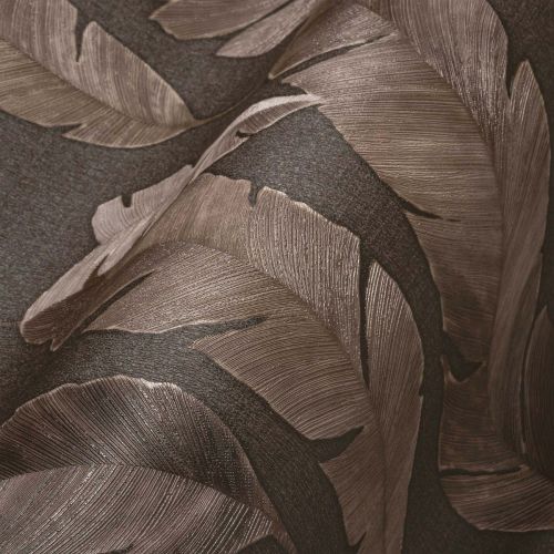 Ornassia Marron  - hover