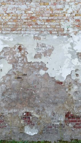 Térence Gris Crème - hover