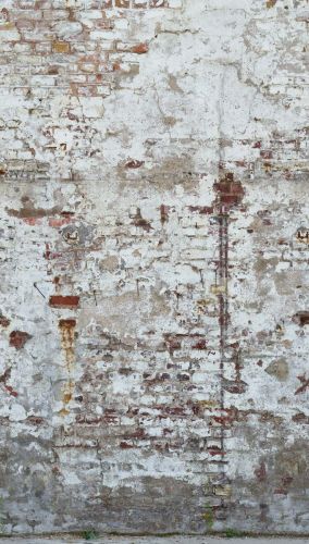 Mathurin Beige Gris - hover