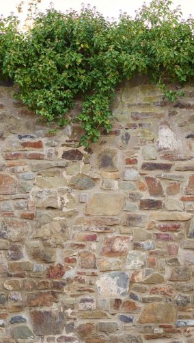 Donatien Vert Crème  - hover