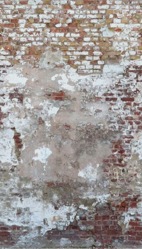 Louve Gris Clair Marron  - hover