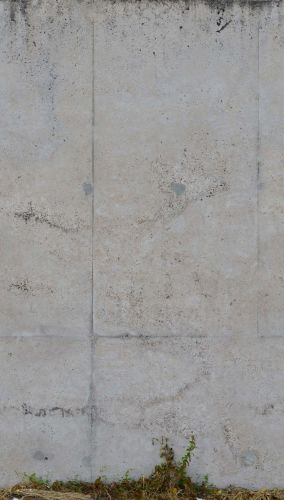 Aceline Gris Nuage  - hover