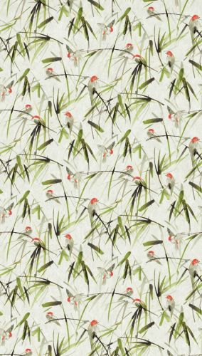 Narcisse Vert Crème  - hover