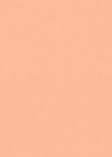 Tatiana Orange  - hover