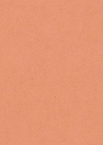 Viviane Orange  - hover