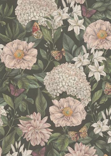 Cressida Noir - hover