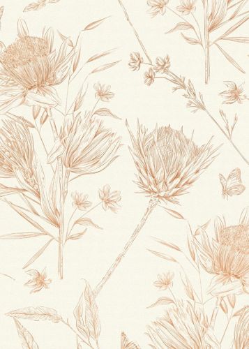 Lisette Crème Marron  - hover