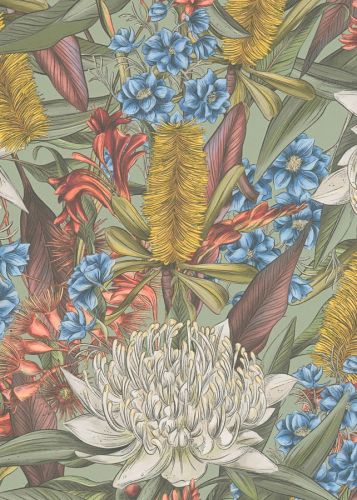 Tansy Coloré - hover