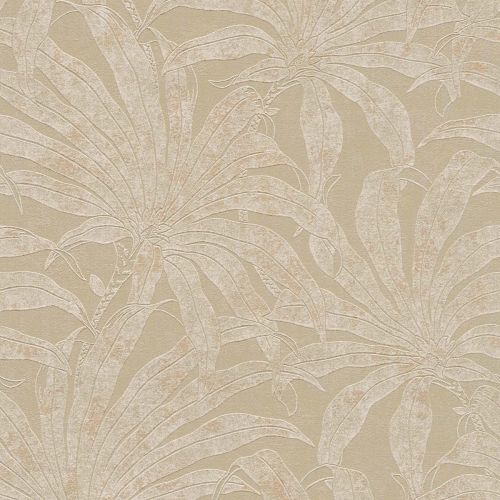 Katell Beige Foncé  - hover