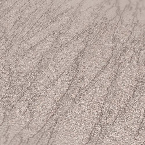 Évariste Gris Clair  - hover