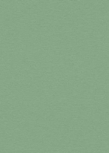 Titouan Vert Menthe
