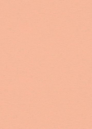 Titouan Pêche Rose