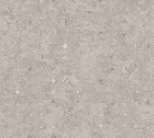 Aiden Gris Argent  - hover