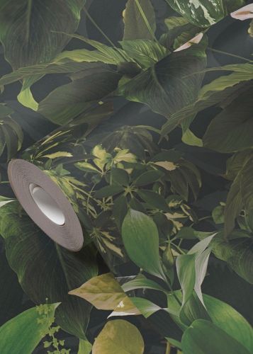 Ambroise Vert Foncé  - hover