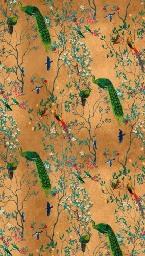 Célian Jaune Coloré  - hover