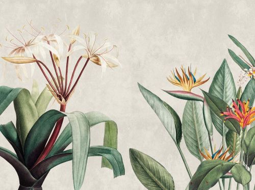 Nerys Coloré - hover