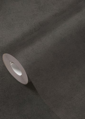 Martin Noir  - hover