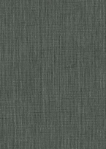 Stanislas Anthracite 