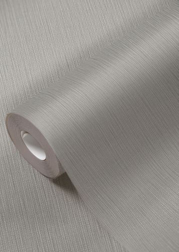 Stanislas Taupe - hover