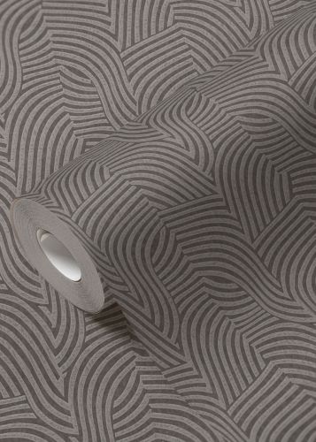 Cosmos Gris Argent - hover