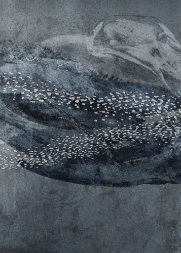 Eutheria Argenté