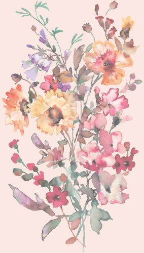 Calystéa Rose Orange  - hover