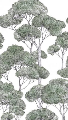 Érémia Vert Noir  - hover