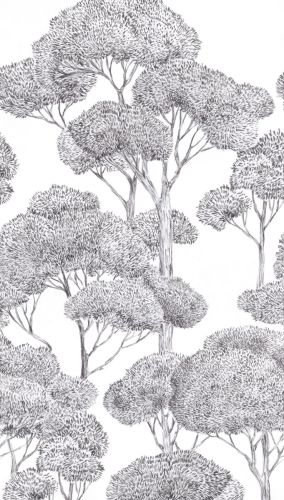 Érémia Gris Noir  - hover