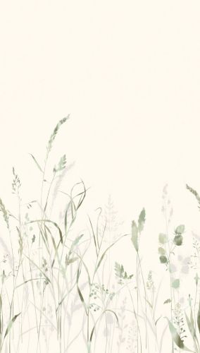Nélor Vert Crème - hover