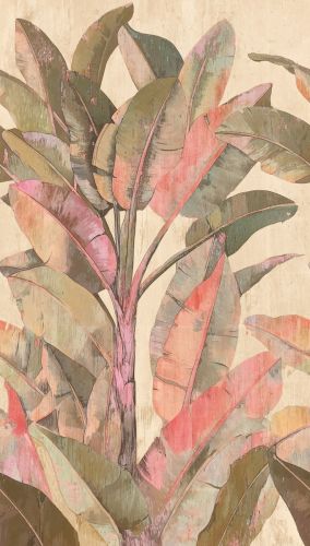 Joral Beige Rosa  - hover