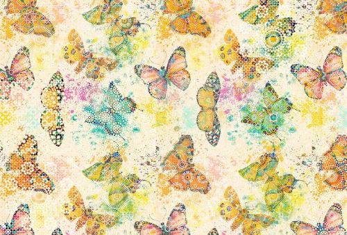 Francis Orange Jaune - hover