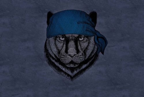 Phélix Bleu Gris - hover