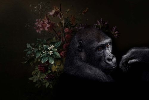 Annick Noir Vert - hover