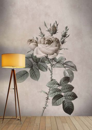 Fabienne Gris 