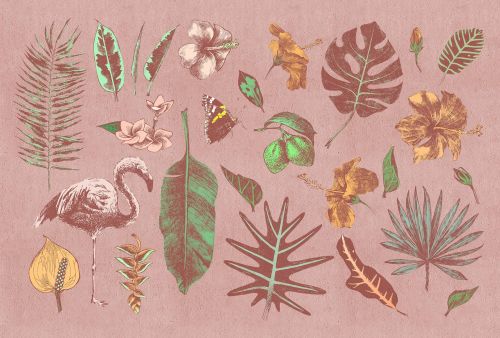 Célina Vert Rosa  - hover