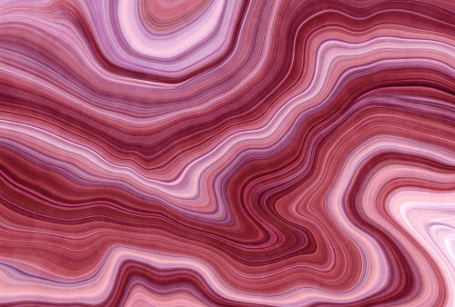 Blanchette Rose Rouge - hover