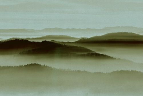 Marcellus Vert Foncé  - hover