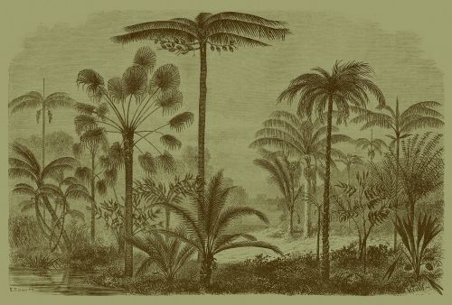 Céphise Vert Marron  - hover