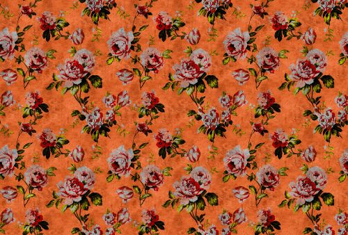 Guenièvre Rouge Orangé - hover