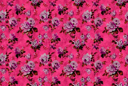 Guenièvre Rose  - hover