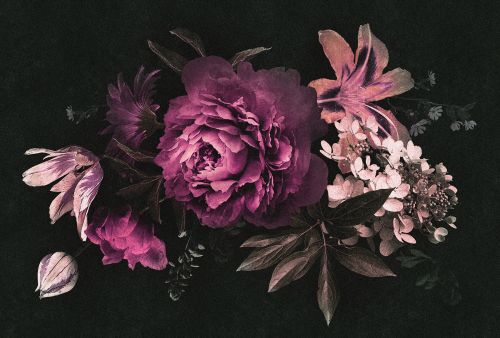 Bélisama Violet Noir  - hover