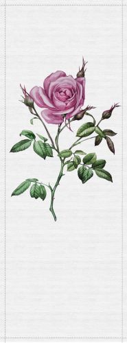 Audra Rosa Vert  - hover