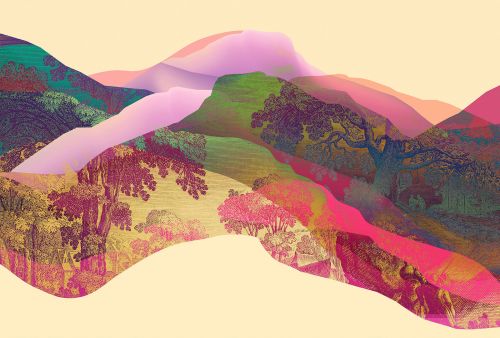 Oren Rose Jaune - hover